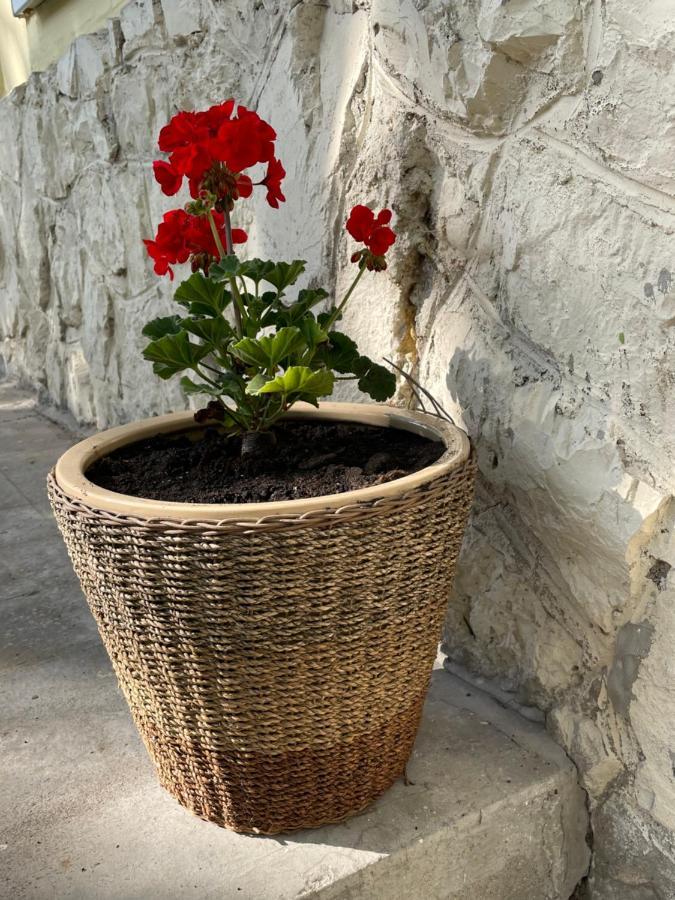 Boni Apartman Miskolc Buitenkant foto